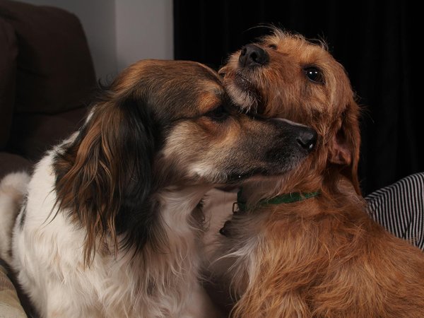 What are the UK's measures for cybersecurity enhancement?