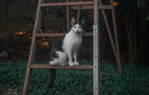 What are the best strategies for investing in real estate?