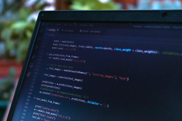 How Can You Create a Comfortable Space for Pets in the UK?